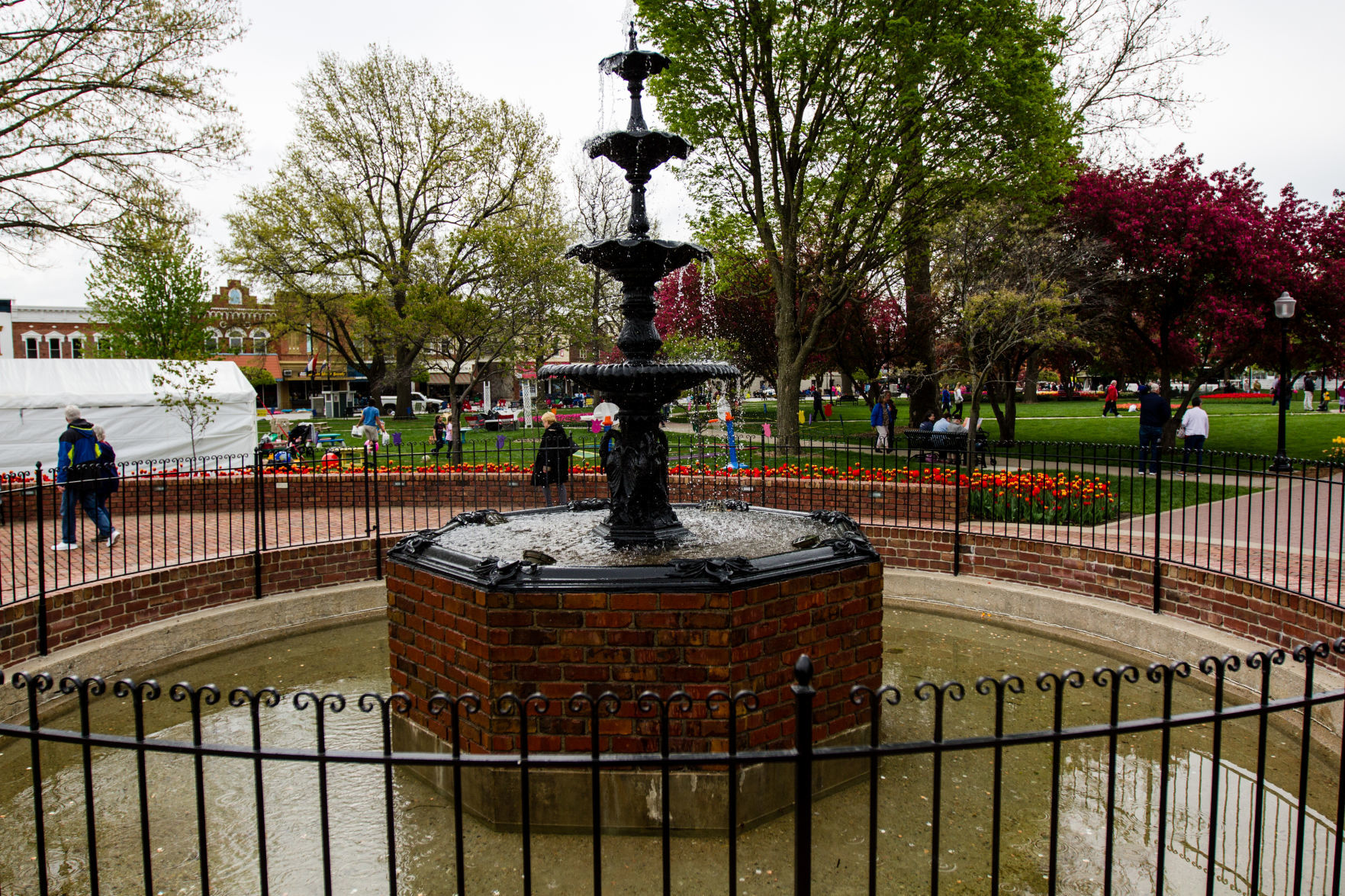 84th ANNUAL TULIP TIME